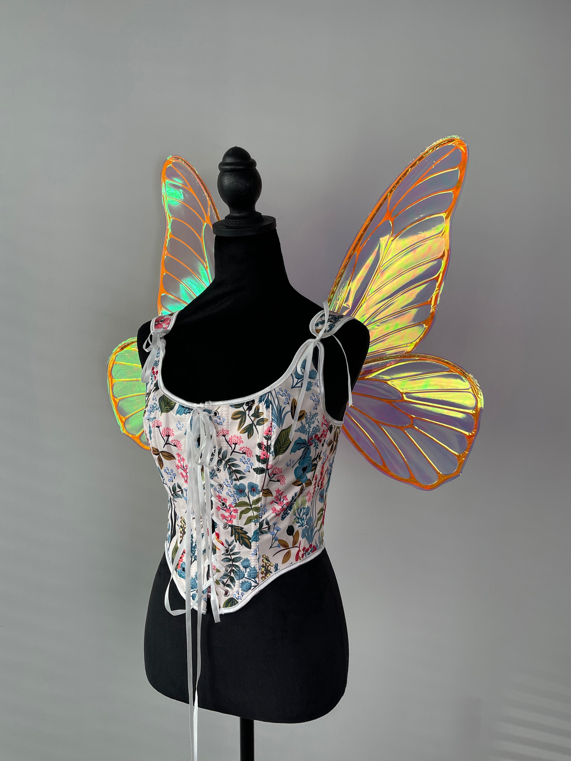 Shimmering iridescent butterfly wings in natural light