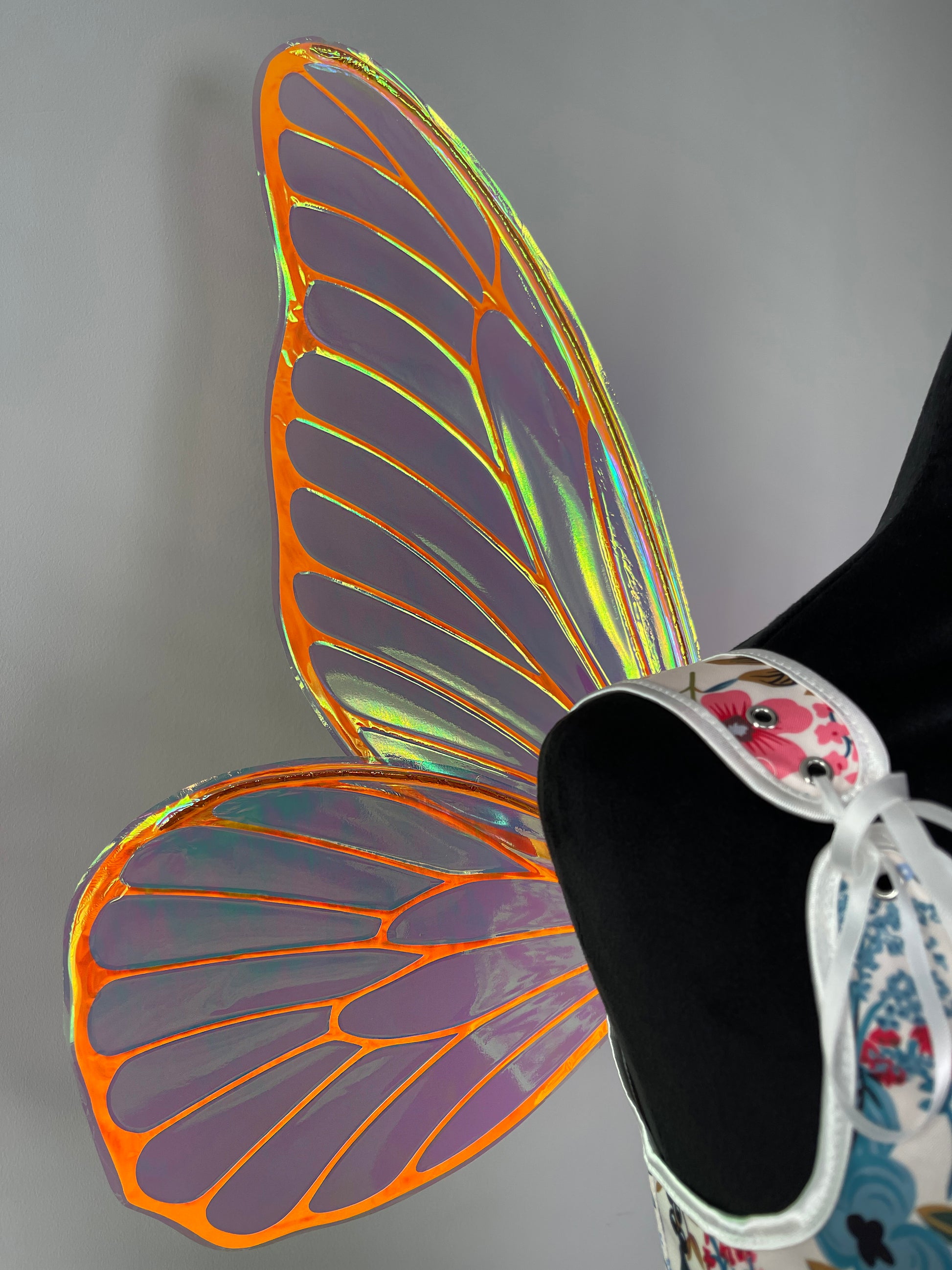 Butterfly wings with colorful patterns on a gray background