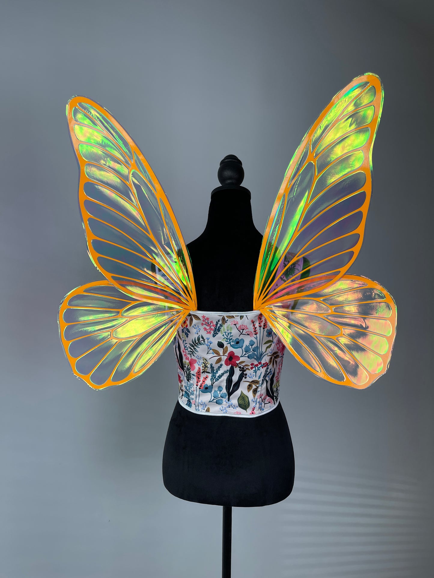Close up of iridescent fairy wings vein detail