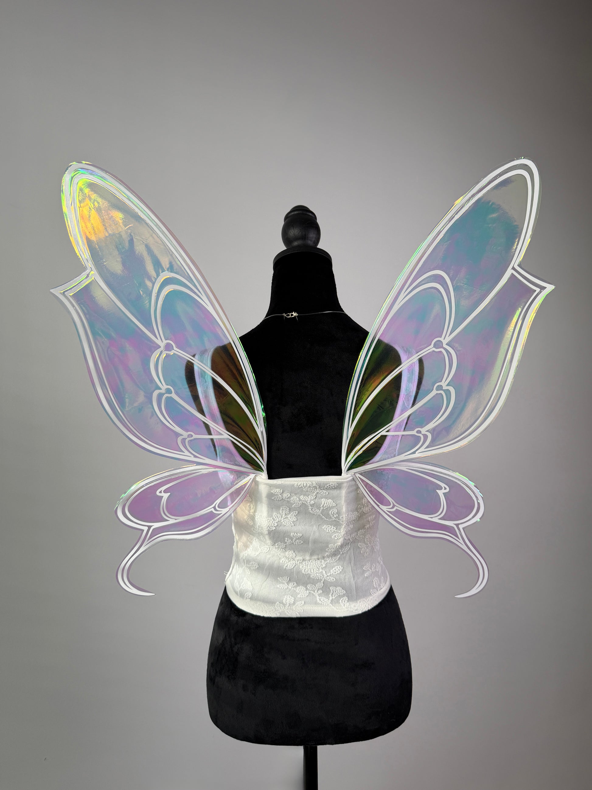 Large butterfly fairy wings for adult photoshoot