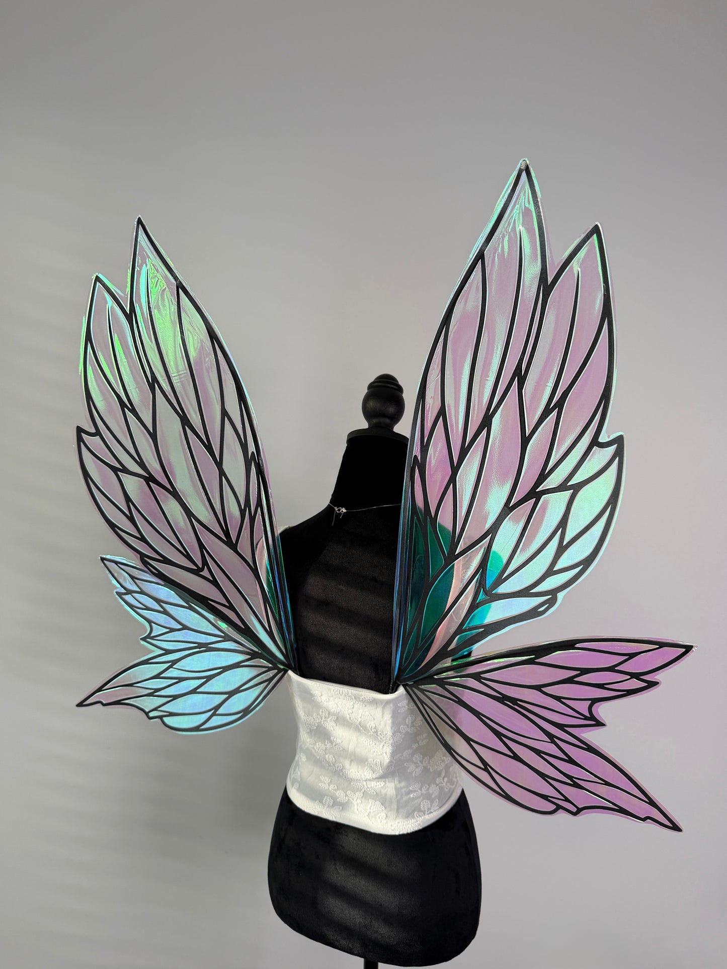 Statement fairy wings for fantasy photoshoot