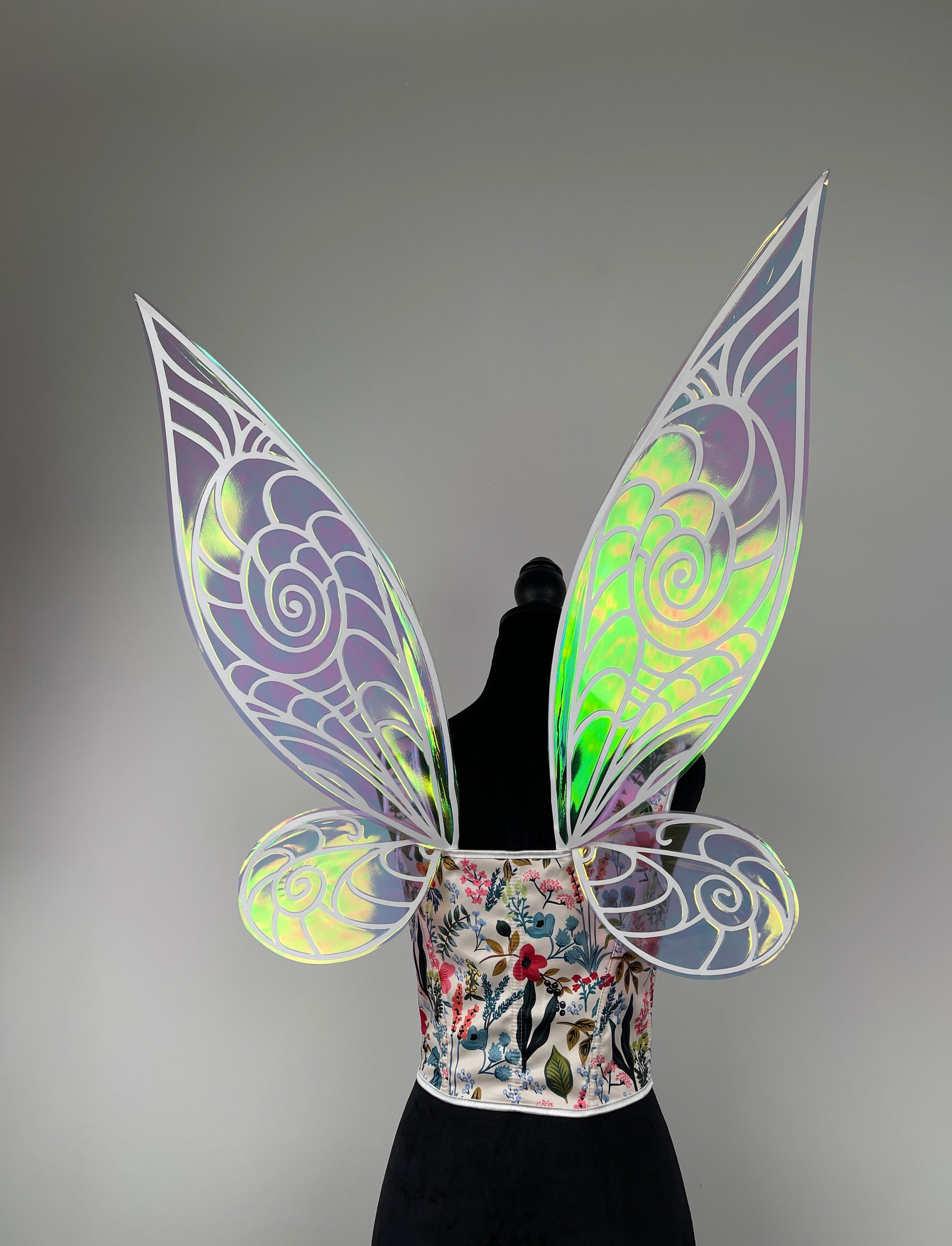 Iridescent wings under natural daylight