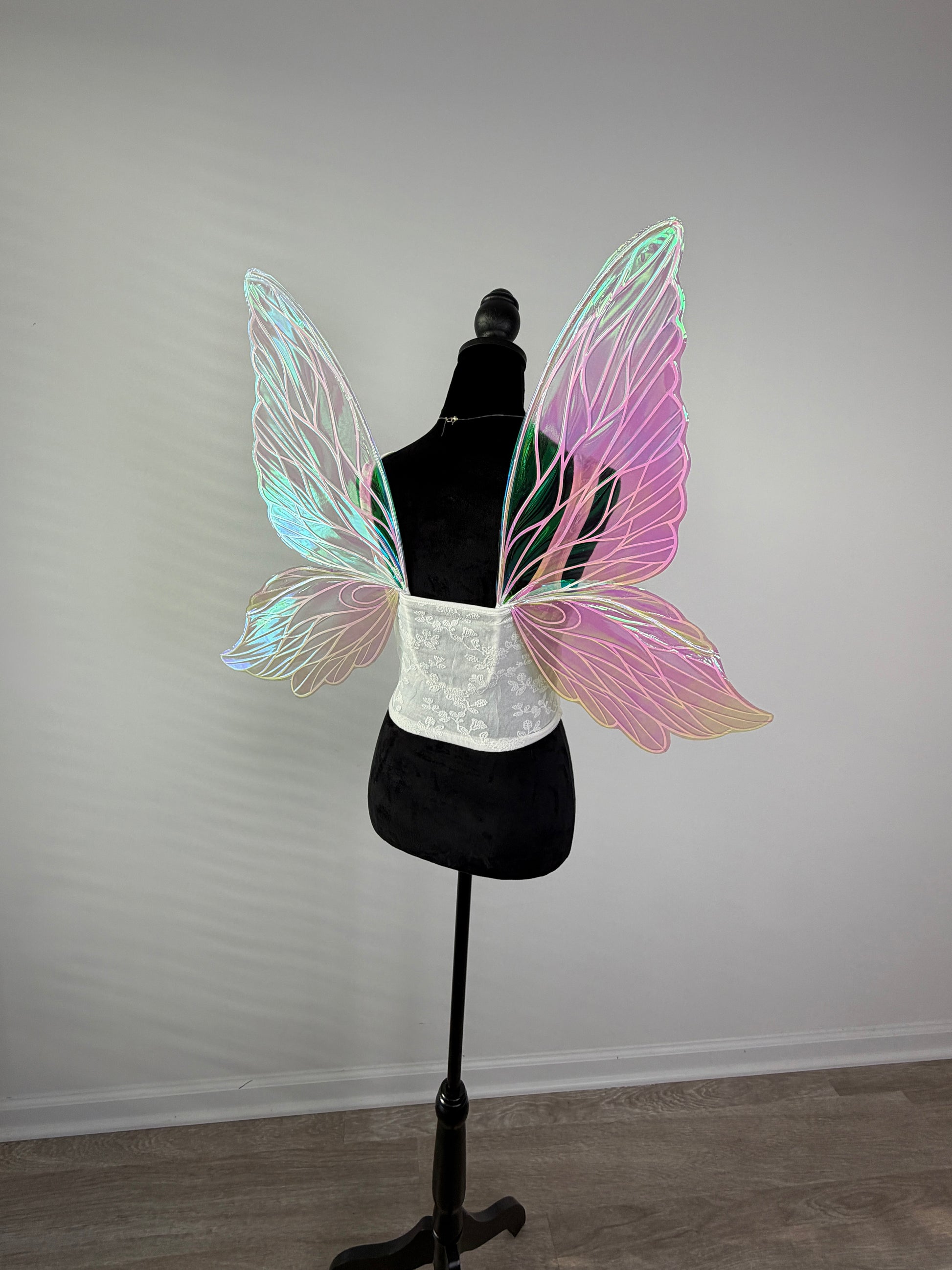 Fairycore forest wings reflecting rainbow light