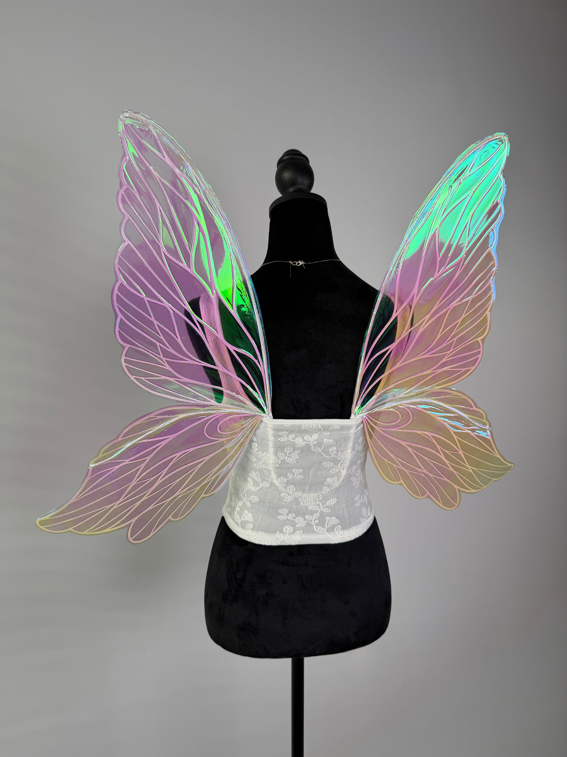 Close up detail of iridescent butterfly fairy wings