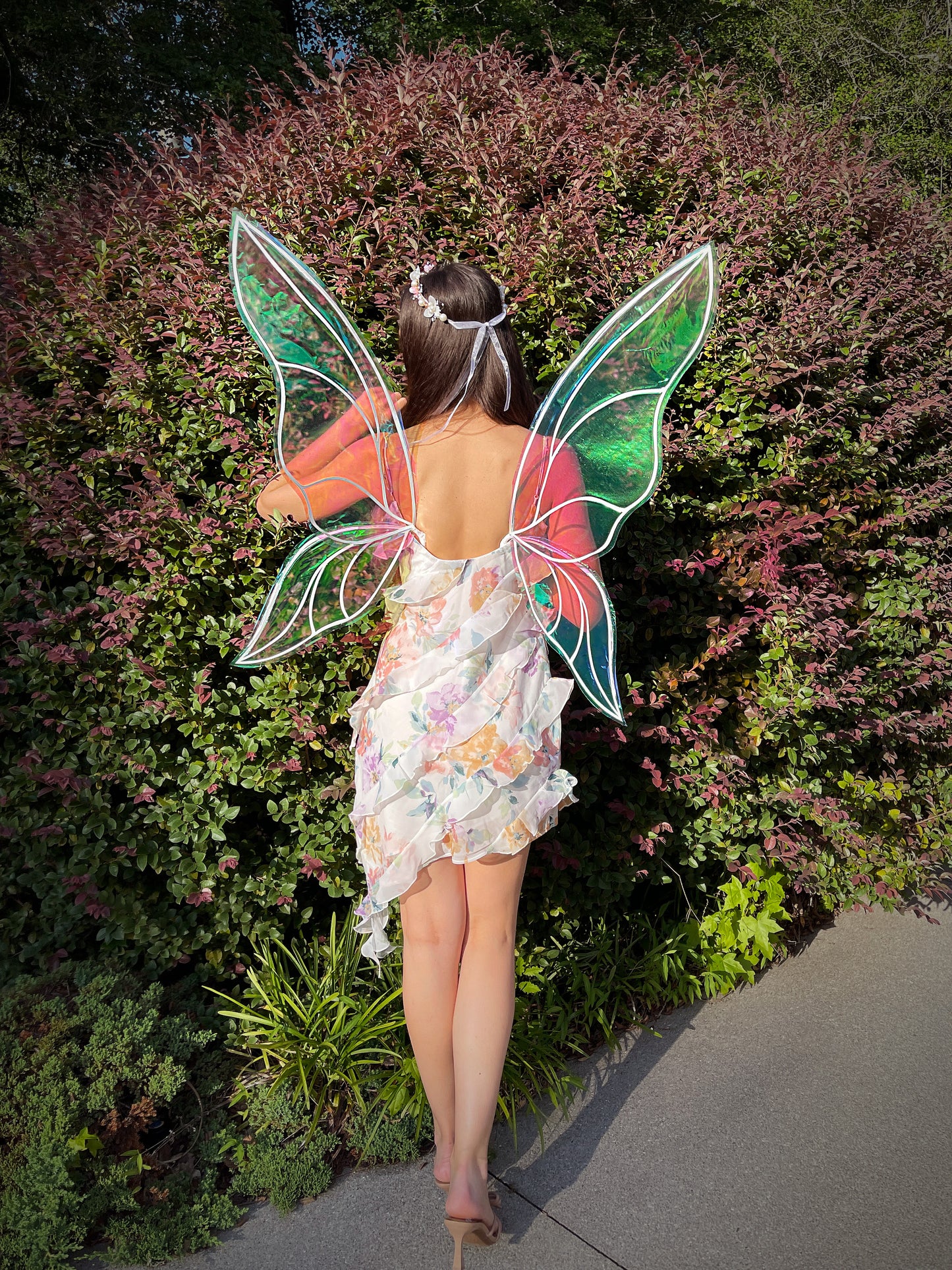 Adult fairy wings costume accessory for Renaissance Faire and cosplay