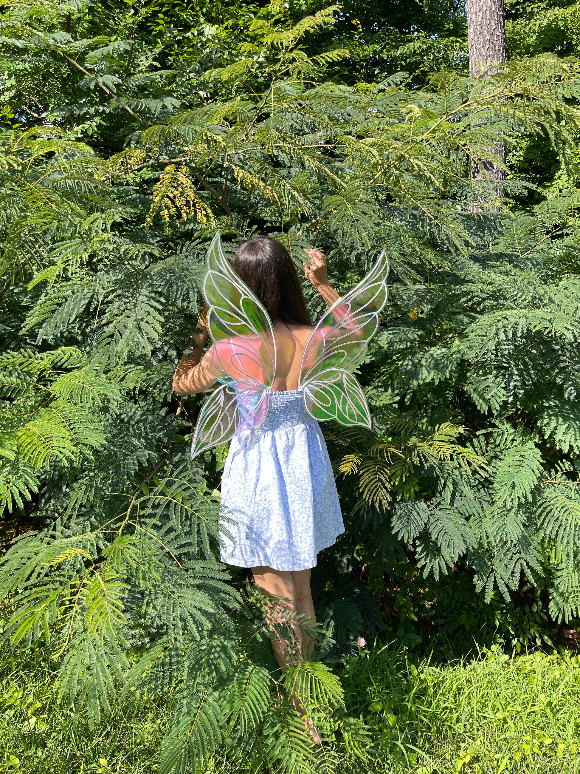 Adult iridescent butterfly fae wings for fantasy festival outfit