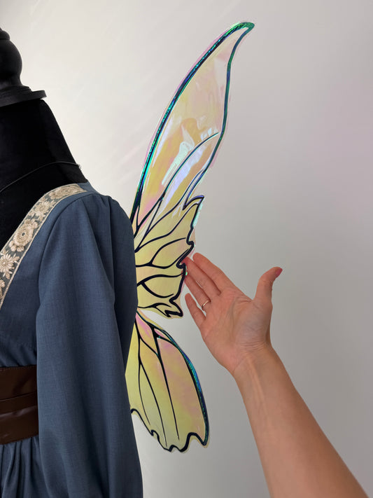 Iridescent fairy wings with black decorative veins and a luminous chameleon finish