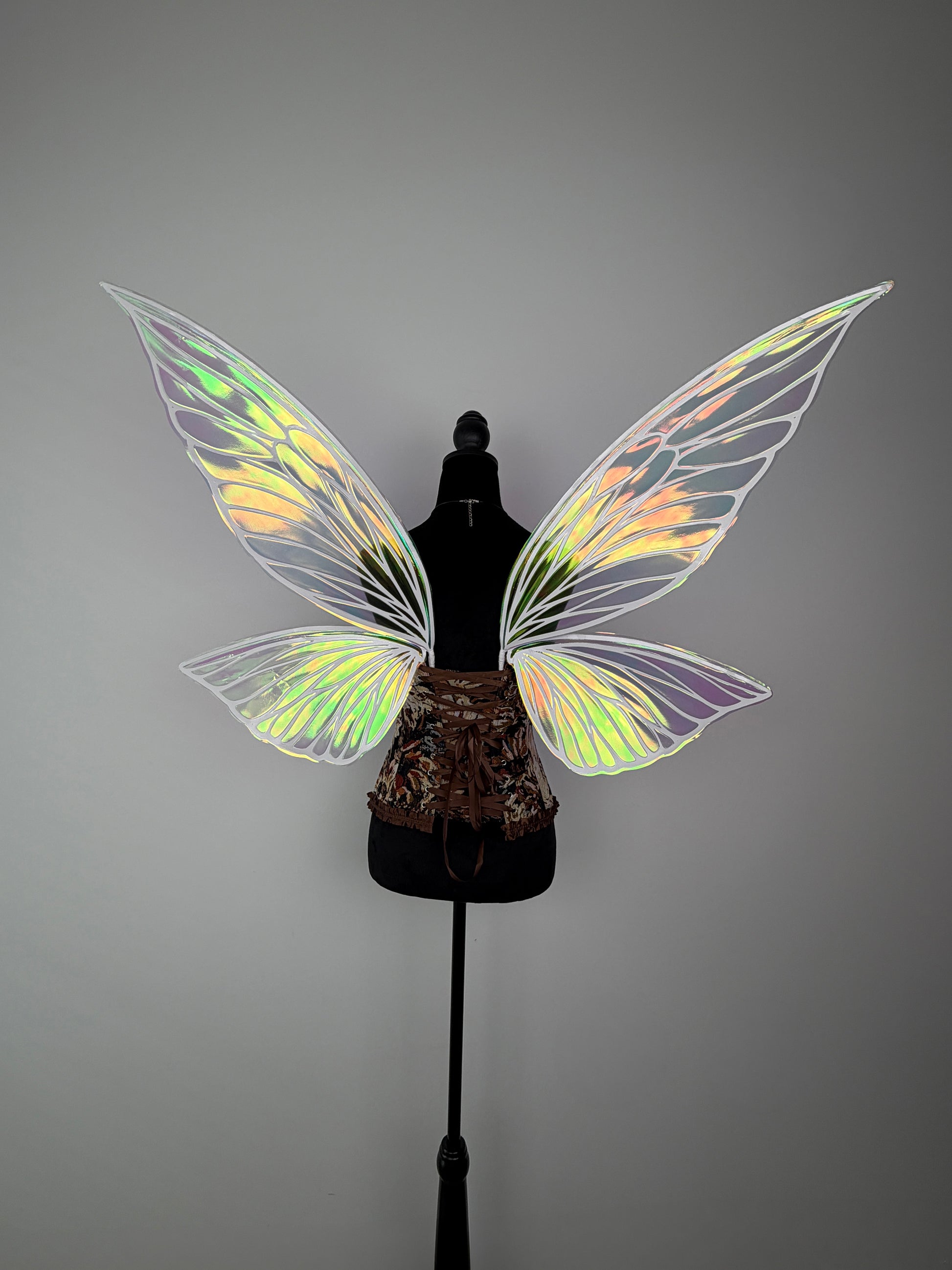 Butterfly fairy wings for festival costume and fantasy style
