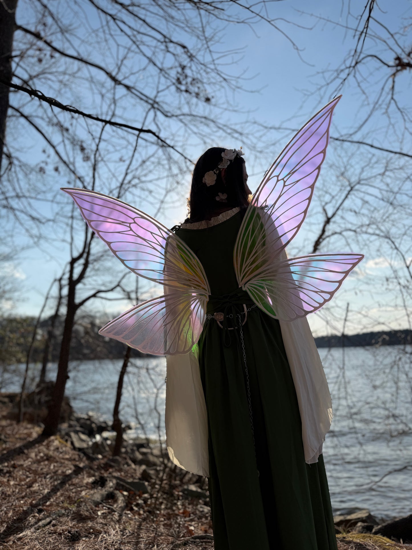 Cosplay butterfly fairy wings in green iridescent finish