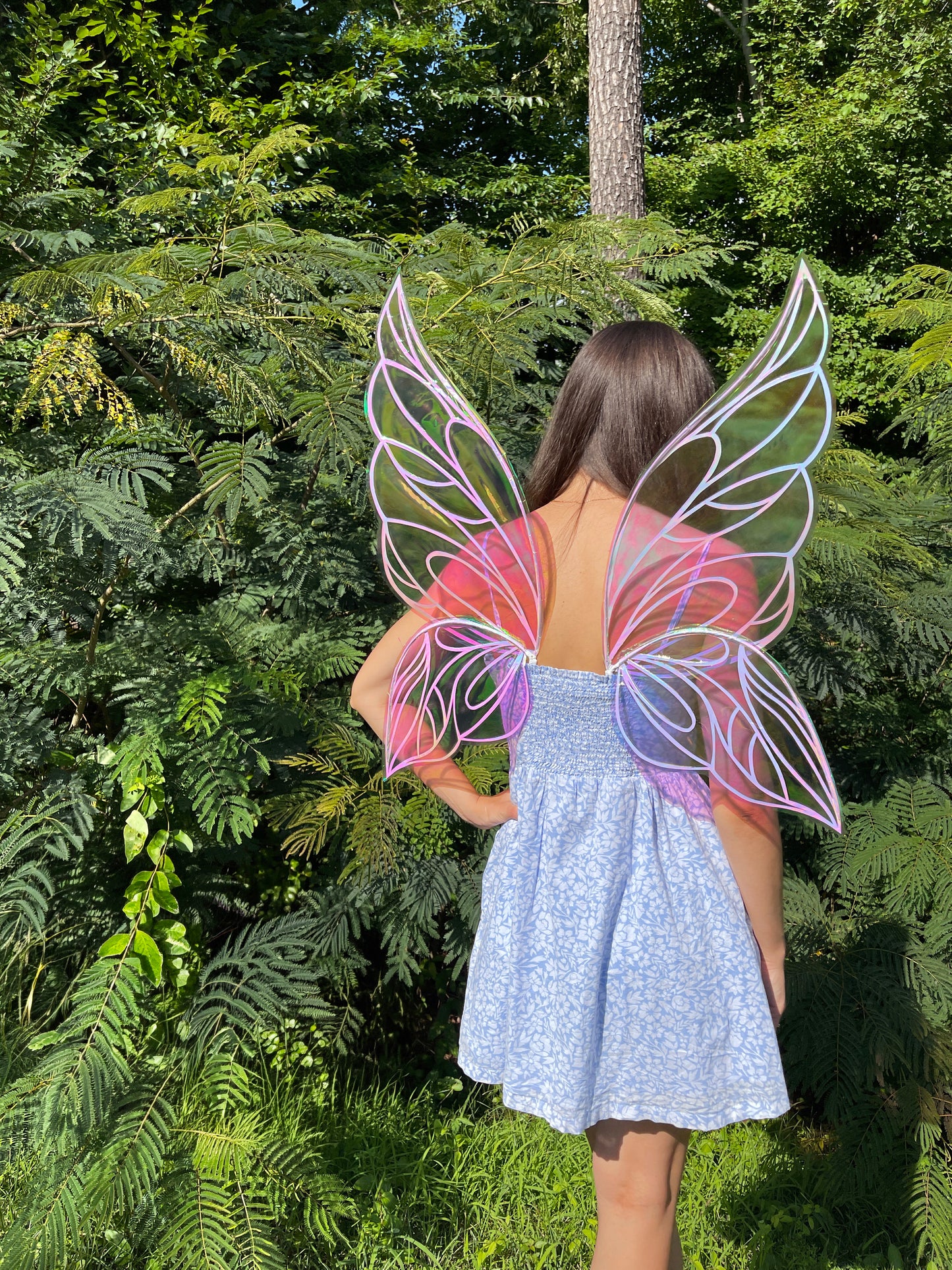 Fae butterfly wings worn for Renaissance festival costume
