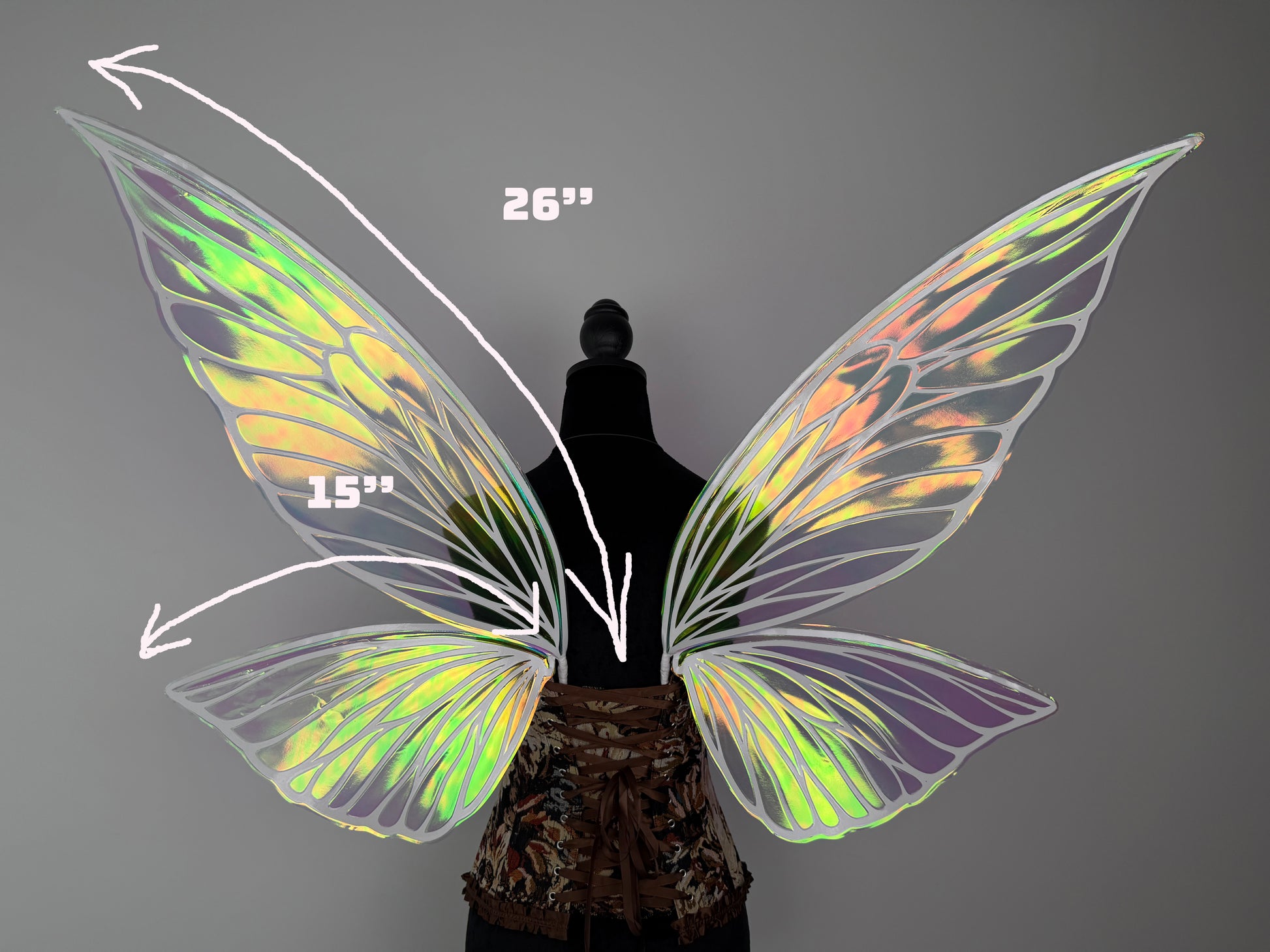 Back view of fairy wings cosplay accessory