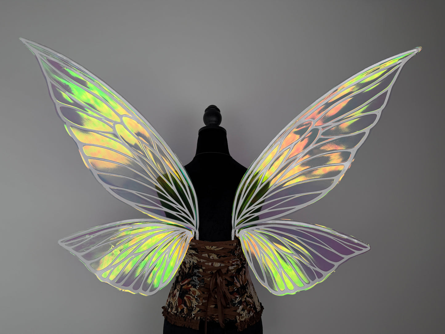 Back view of fairy wings cosplay accessory