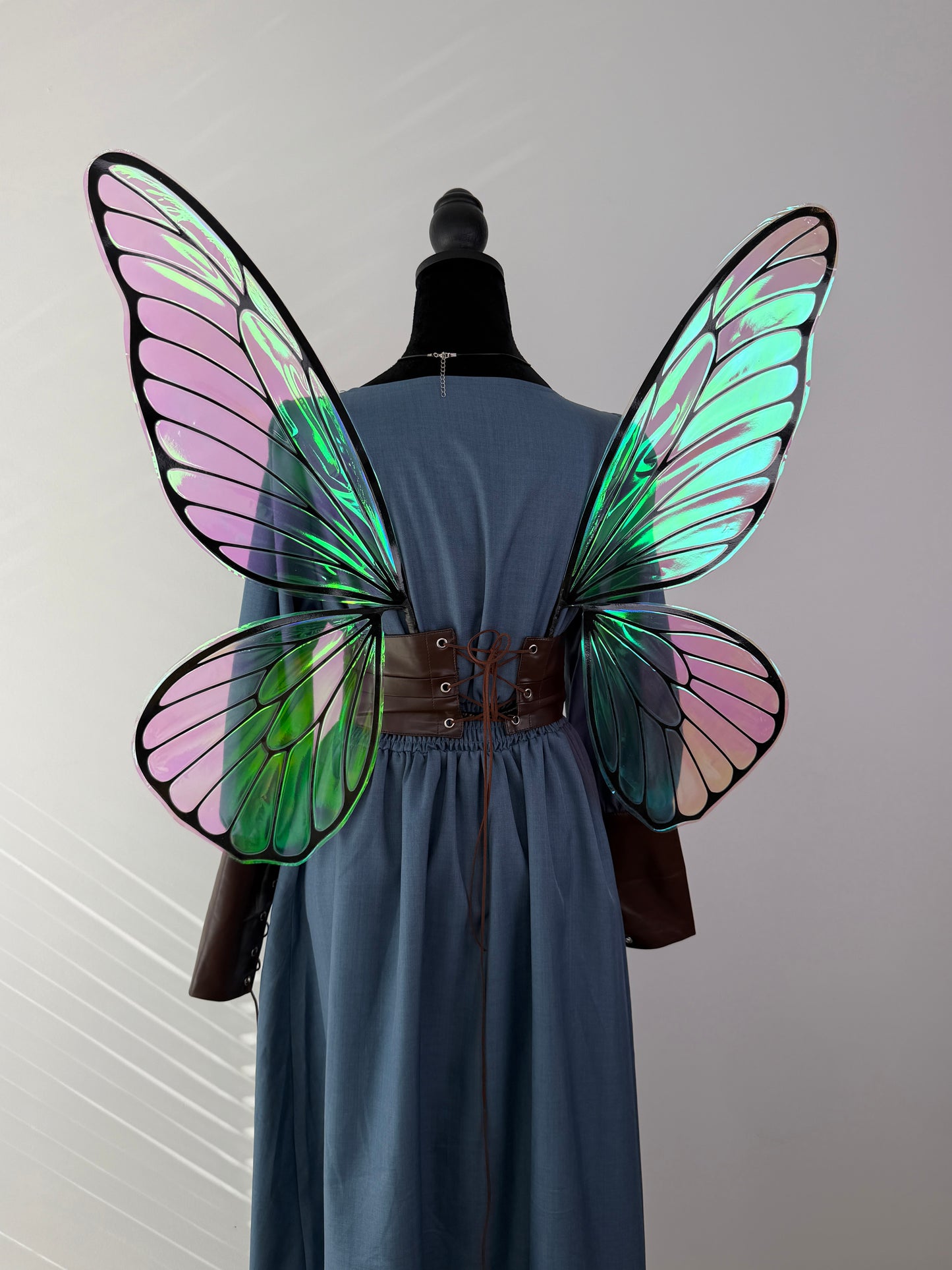Handmade butterfly wings displayed with a medieval fantasy dress for costume inspiration.