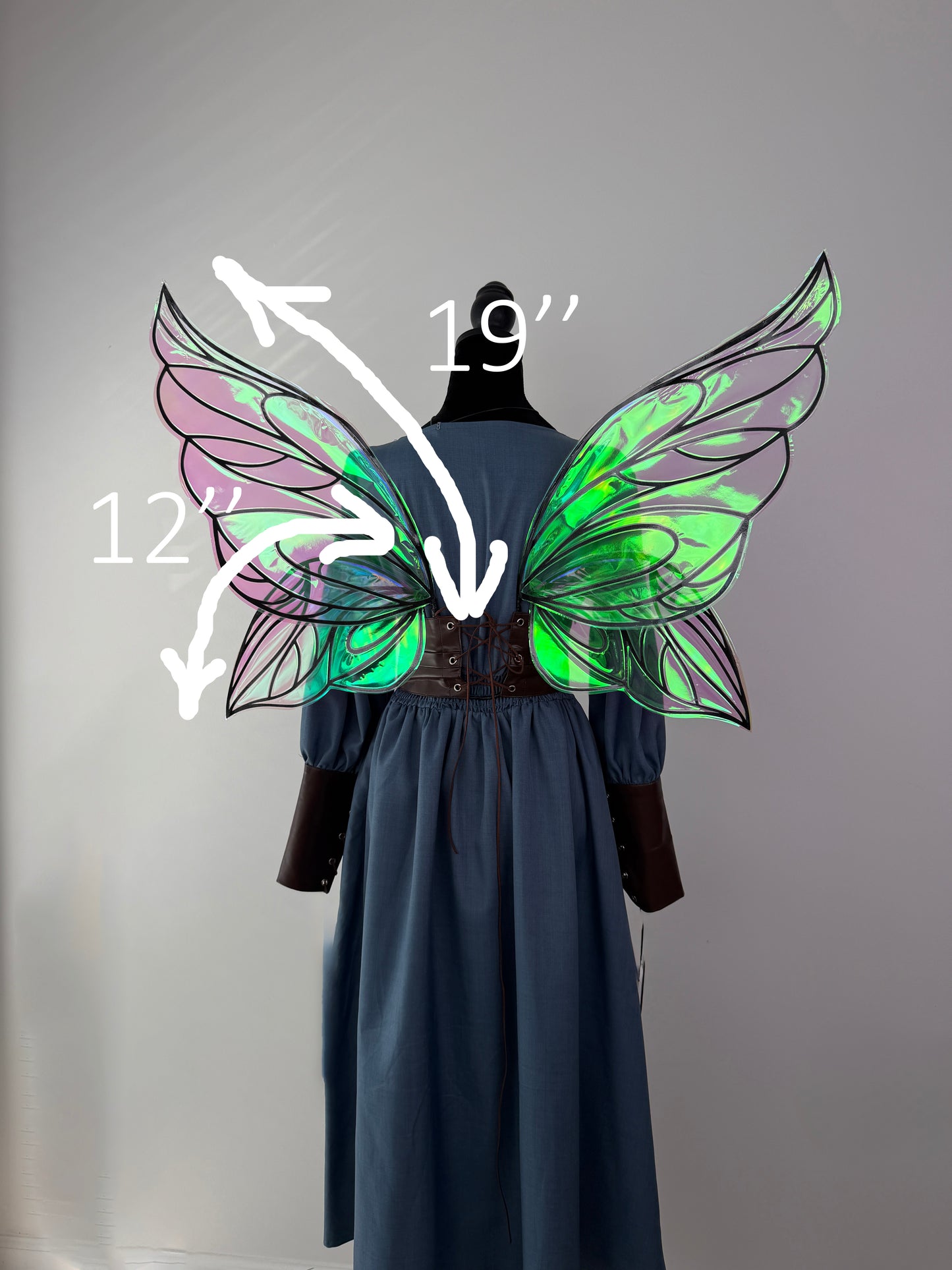 Enchanted Moonbeam Butterfly Wings