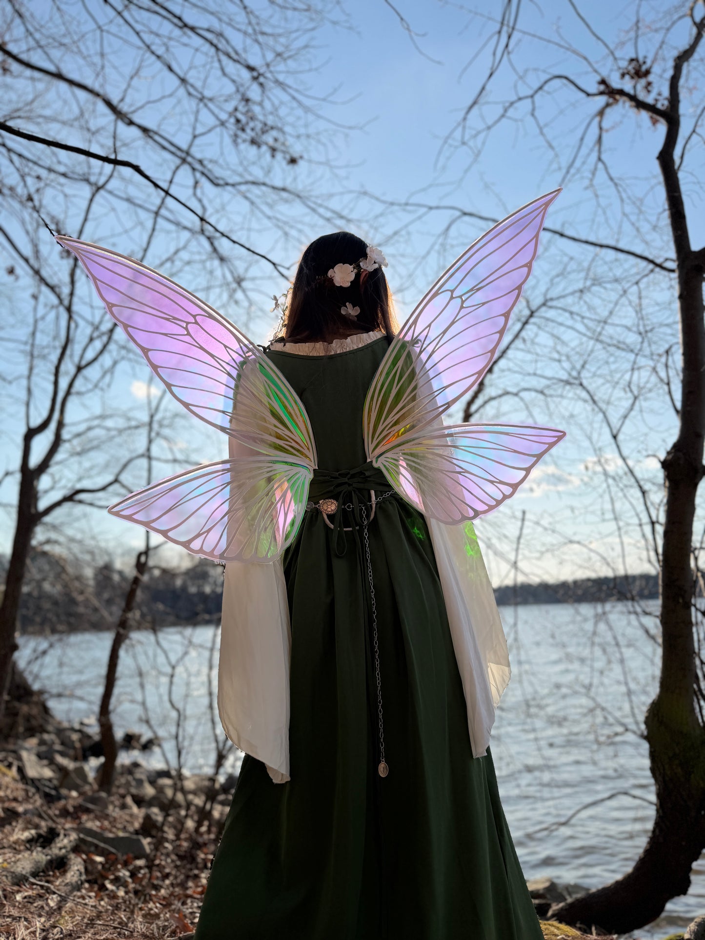 Fantasy fairy wings photographed outdoors in forest setting