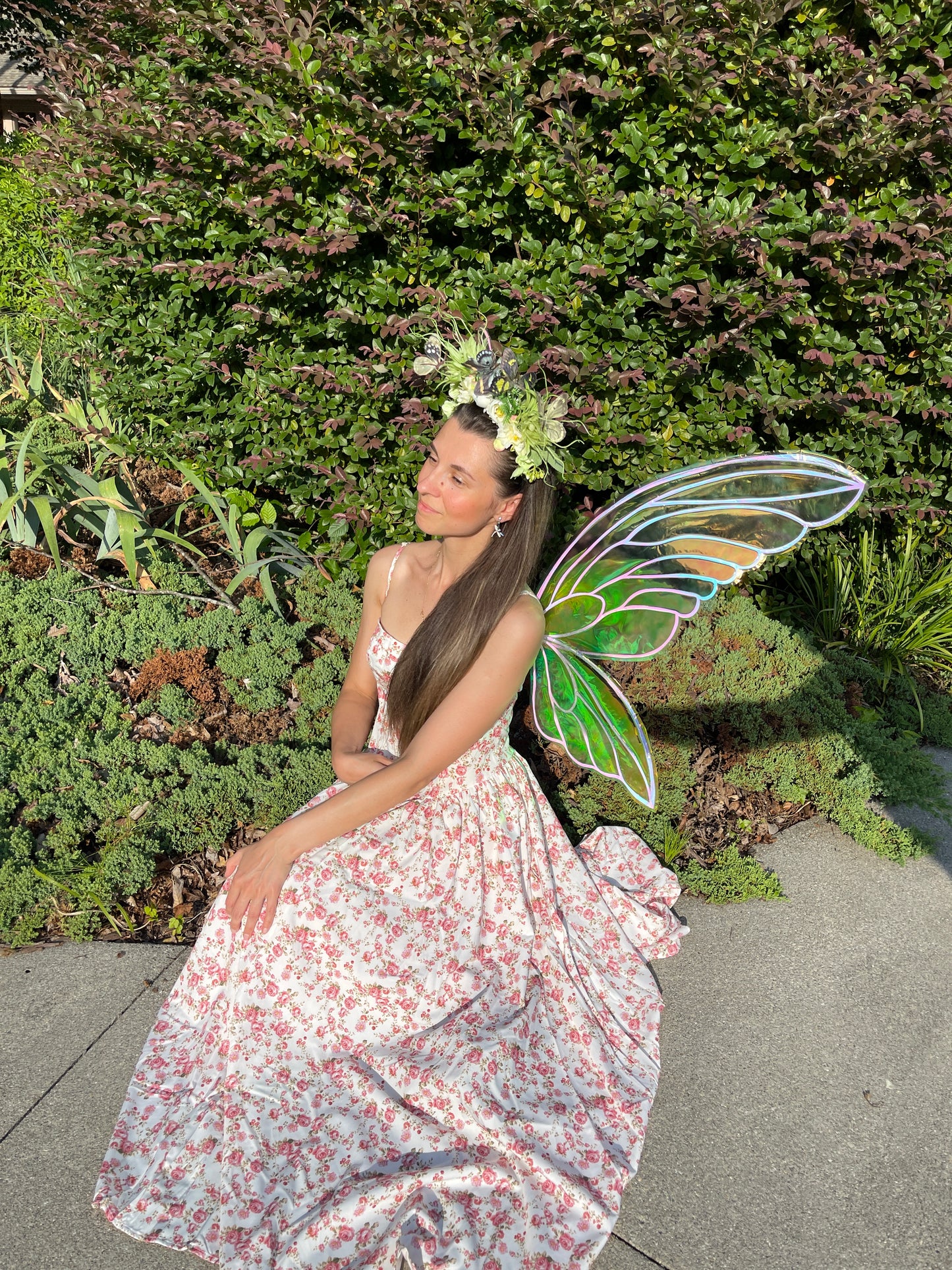 iridescent-fairy-wings-back-view-ren-faire