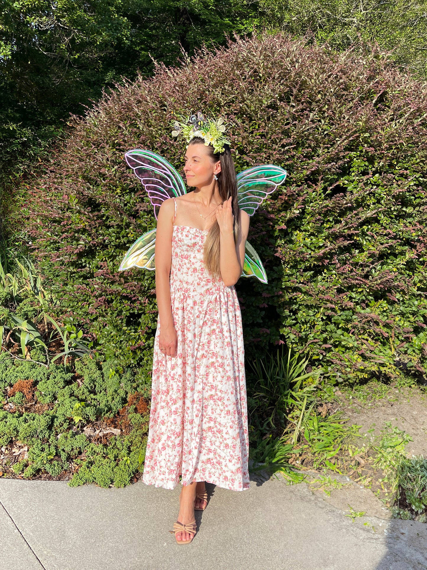 iridescent-fairy-wings-back-view-renaissance-costume