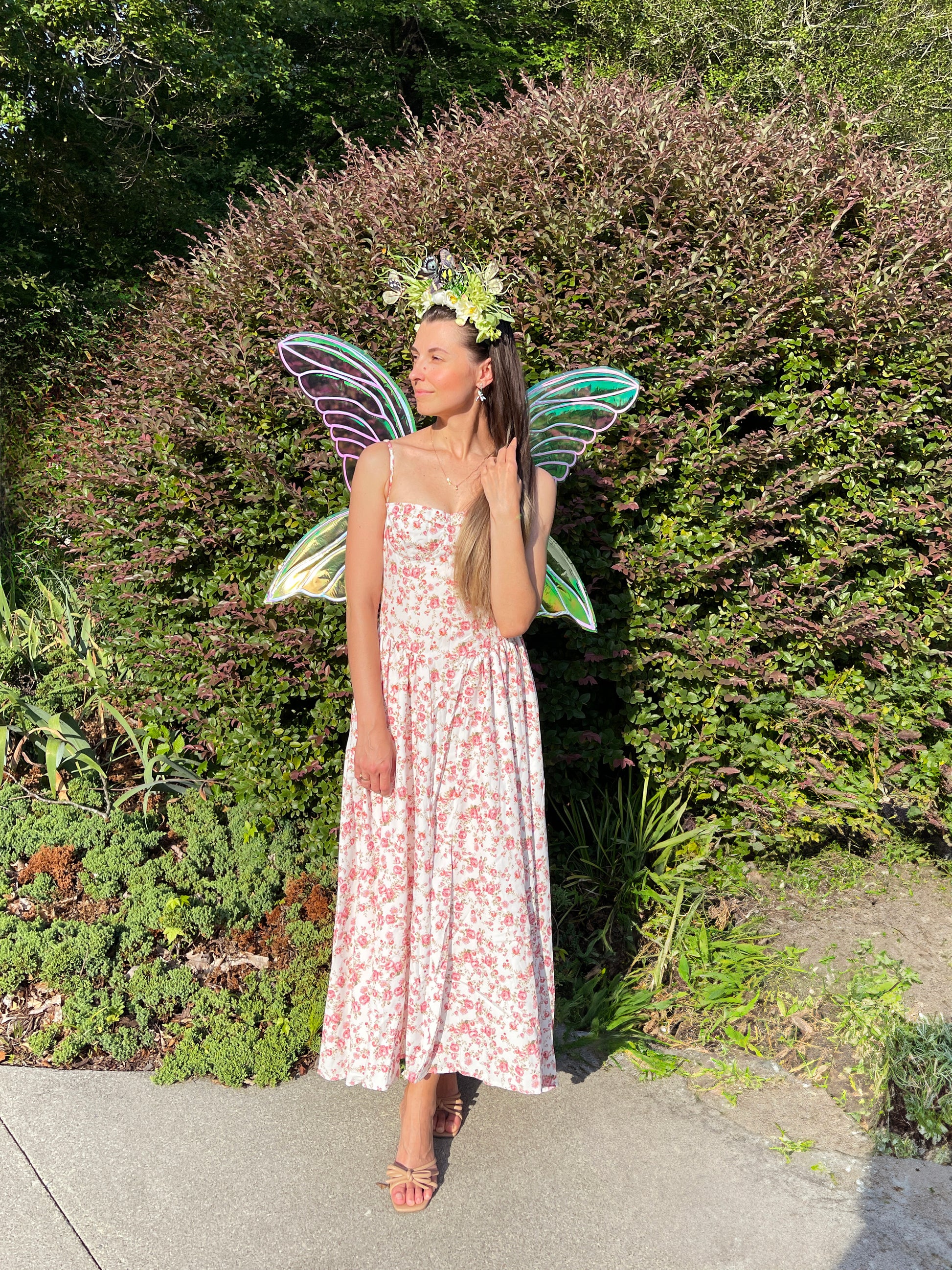 iridescent-fairy-wings-back-view-renaissance-costume