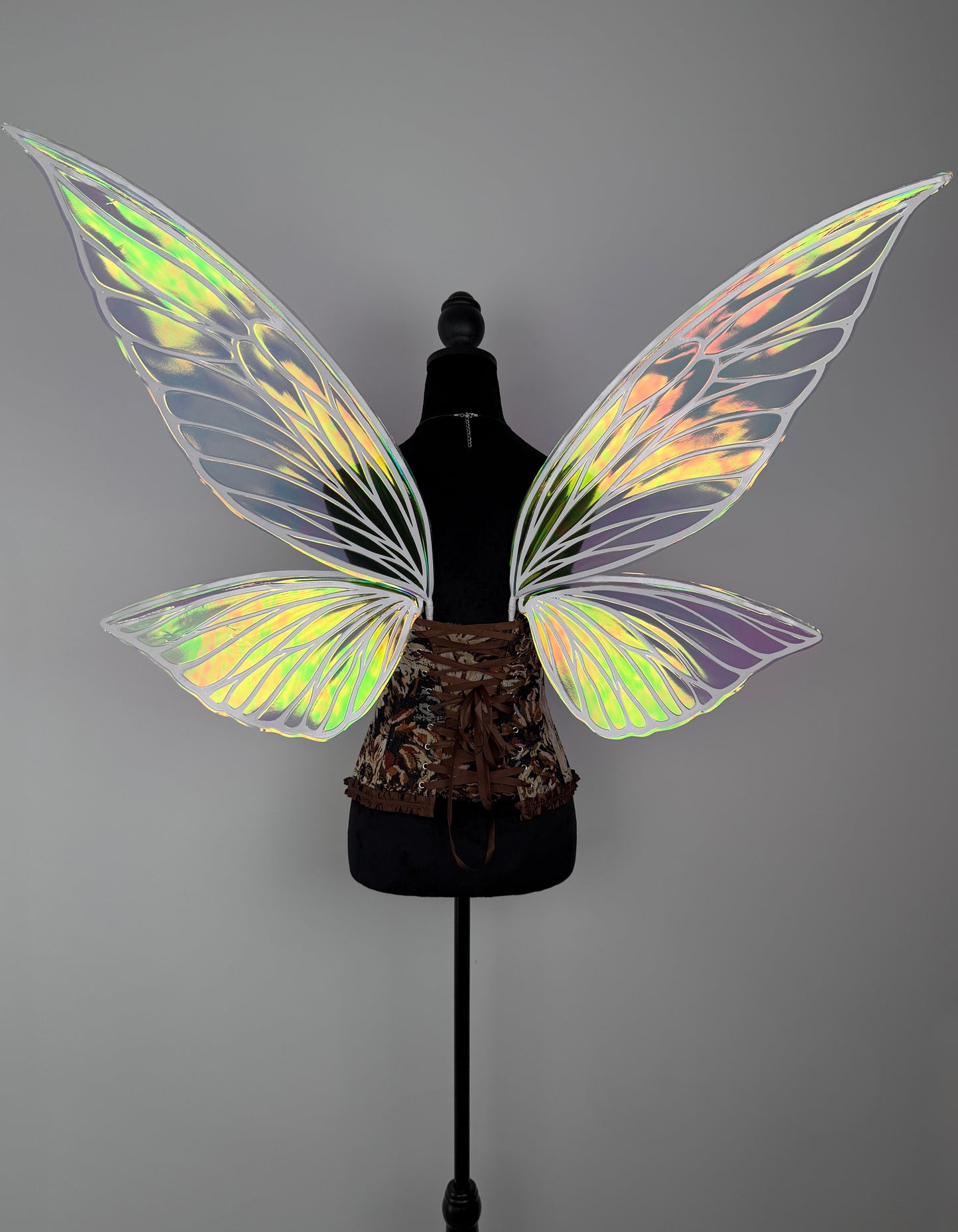 Handmade iridescent fairy wings for cosplay and renaissance events