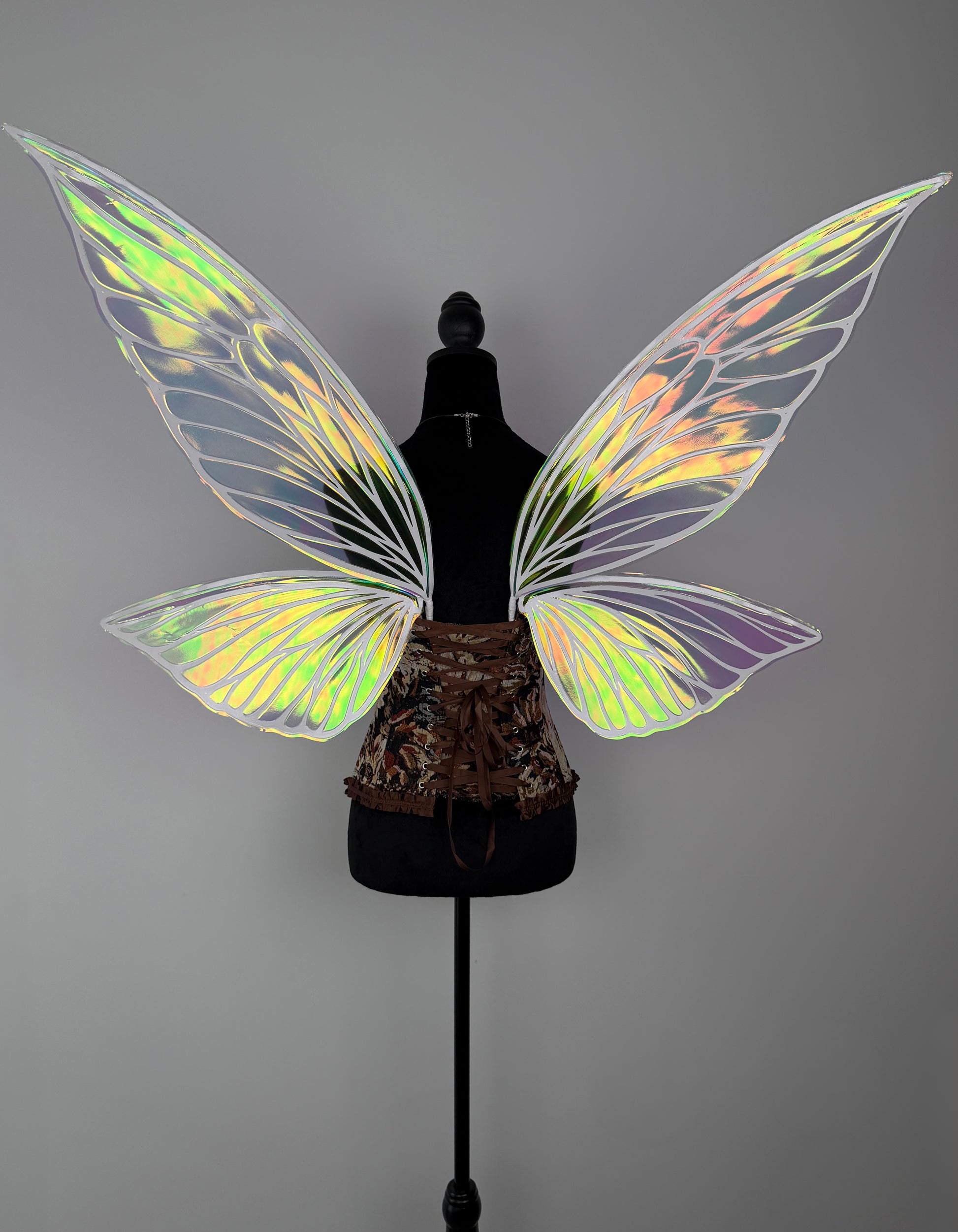 Handmade iridescent fairy wings for cosplay and renaissance events