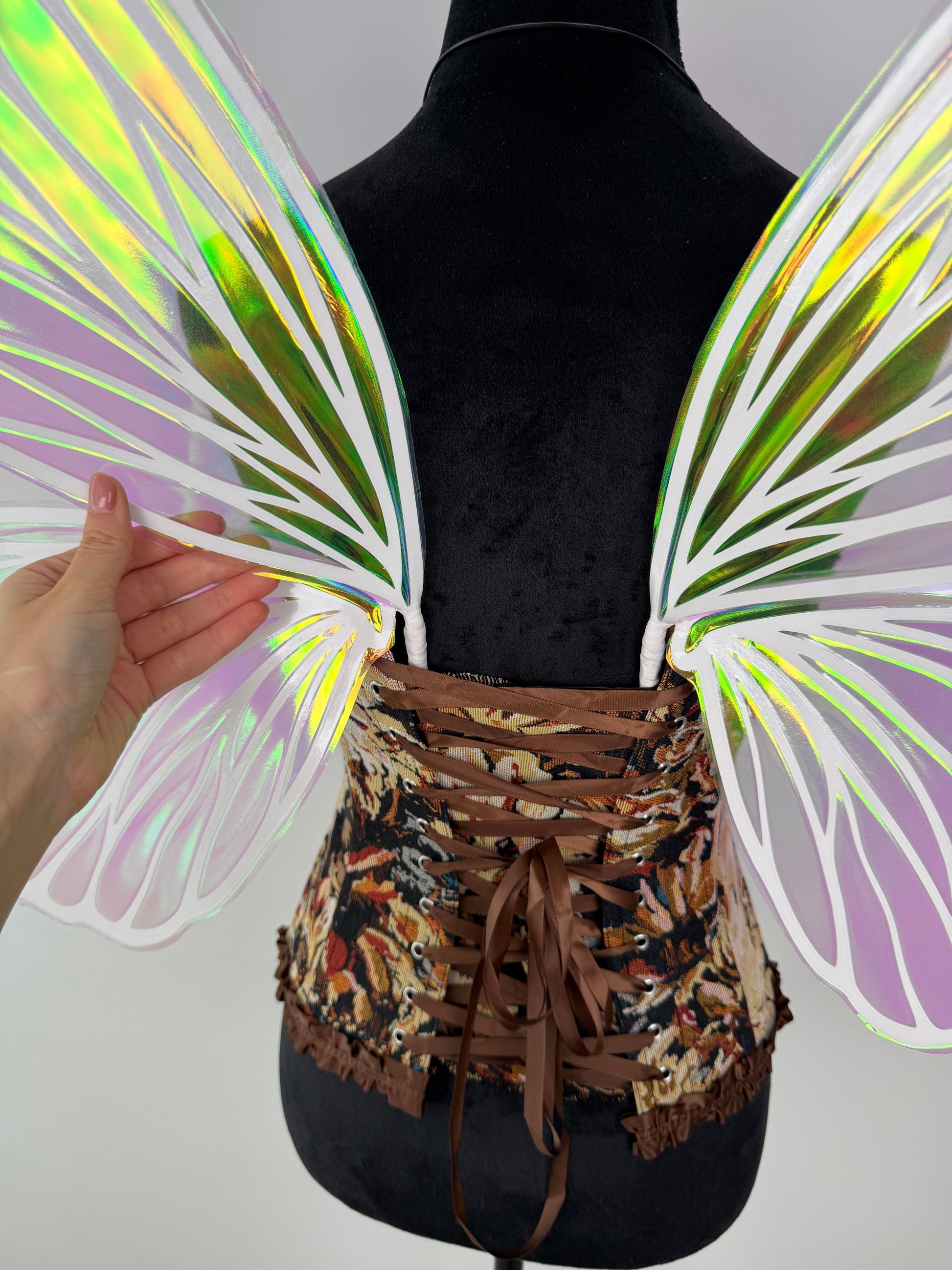 Iridescent fairy wings glowing in natural sunlight