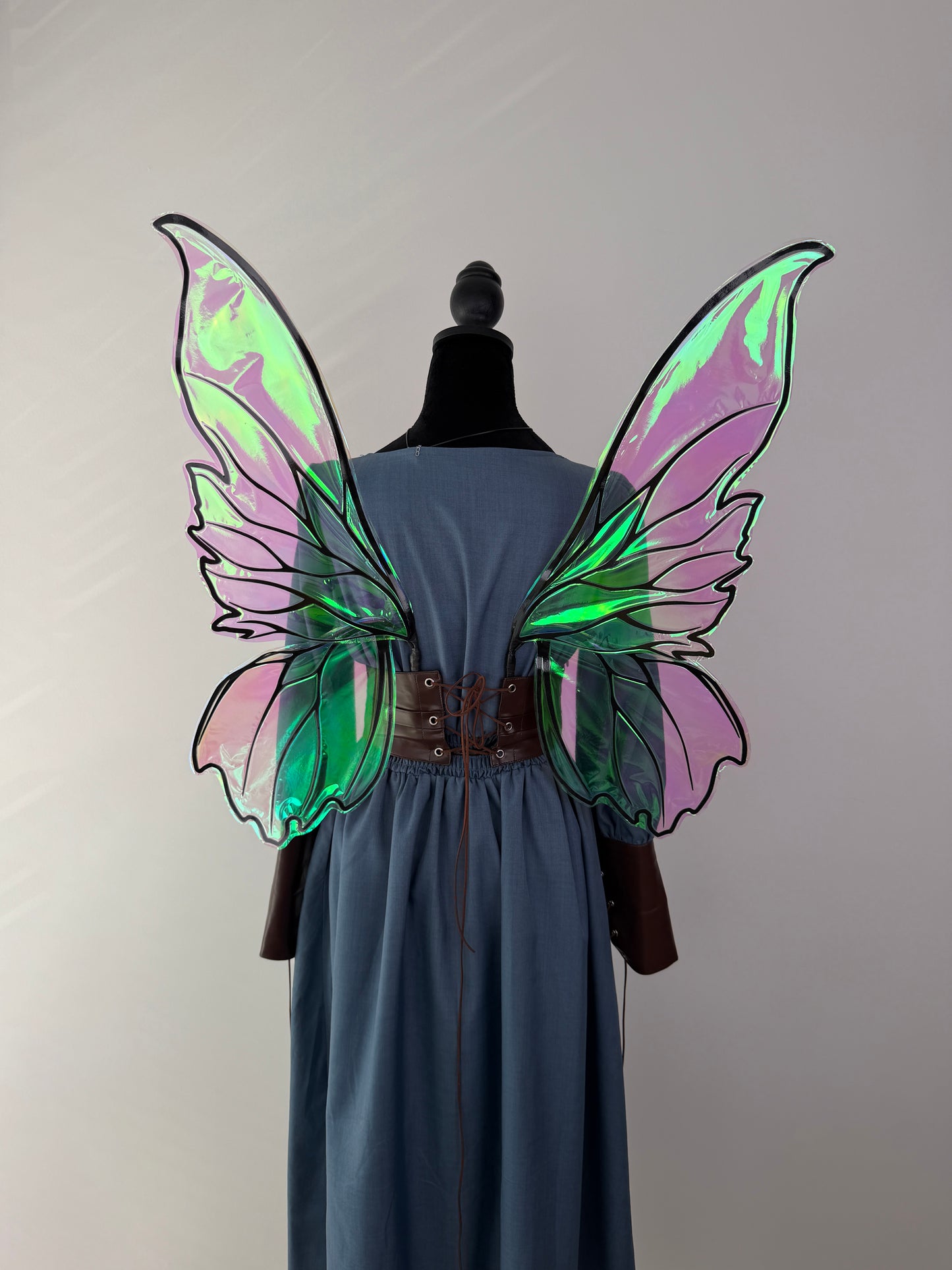 Large chameleon fairy wings shown from the back with an elegant four-wing silhouette