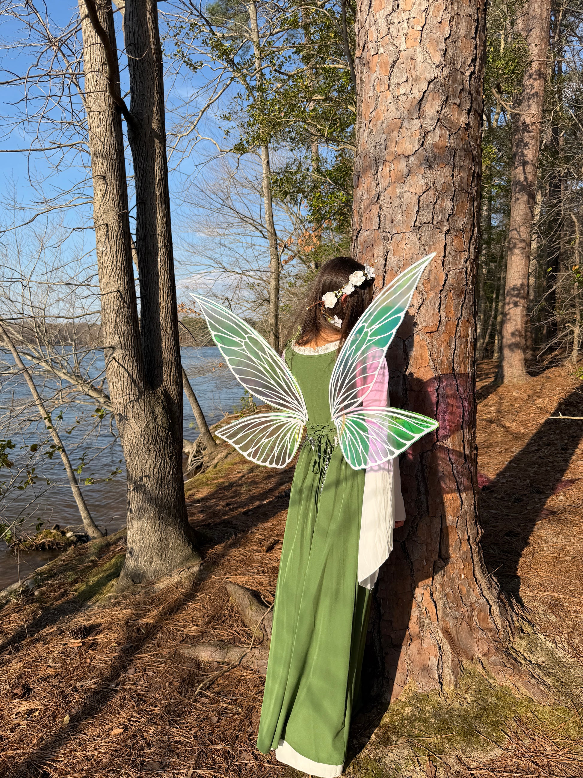 Large iridescent butterfly wings for fantasy costume and cosplay