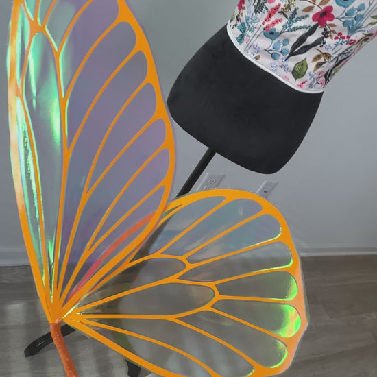 Fantasy fairy wings reflecting rainbow light on video