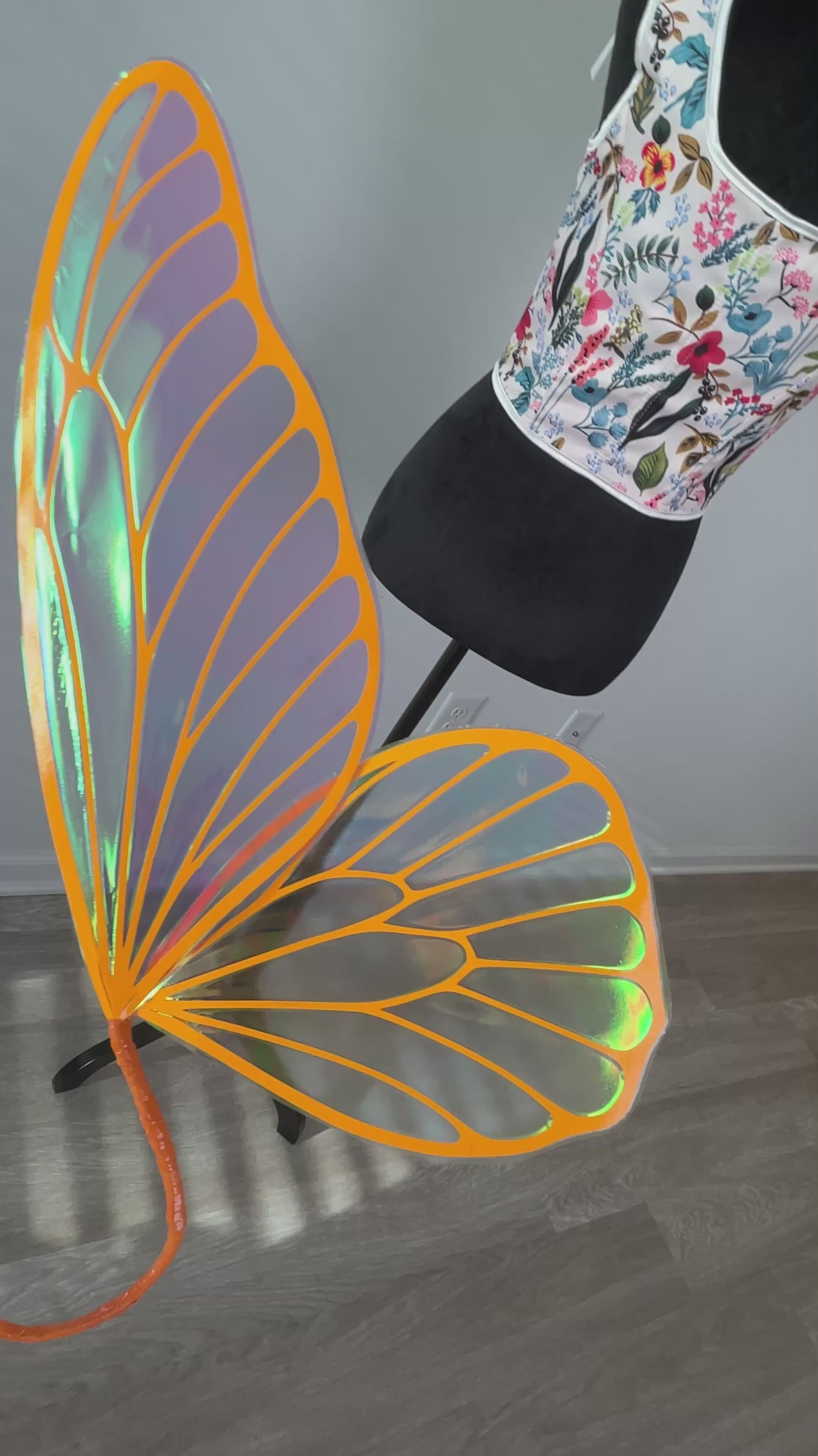 Fantasy fairy wings reflecting rainbow light on video