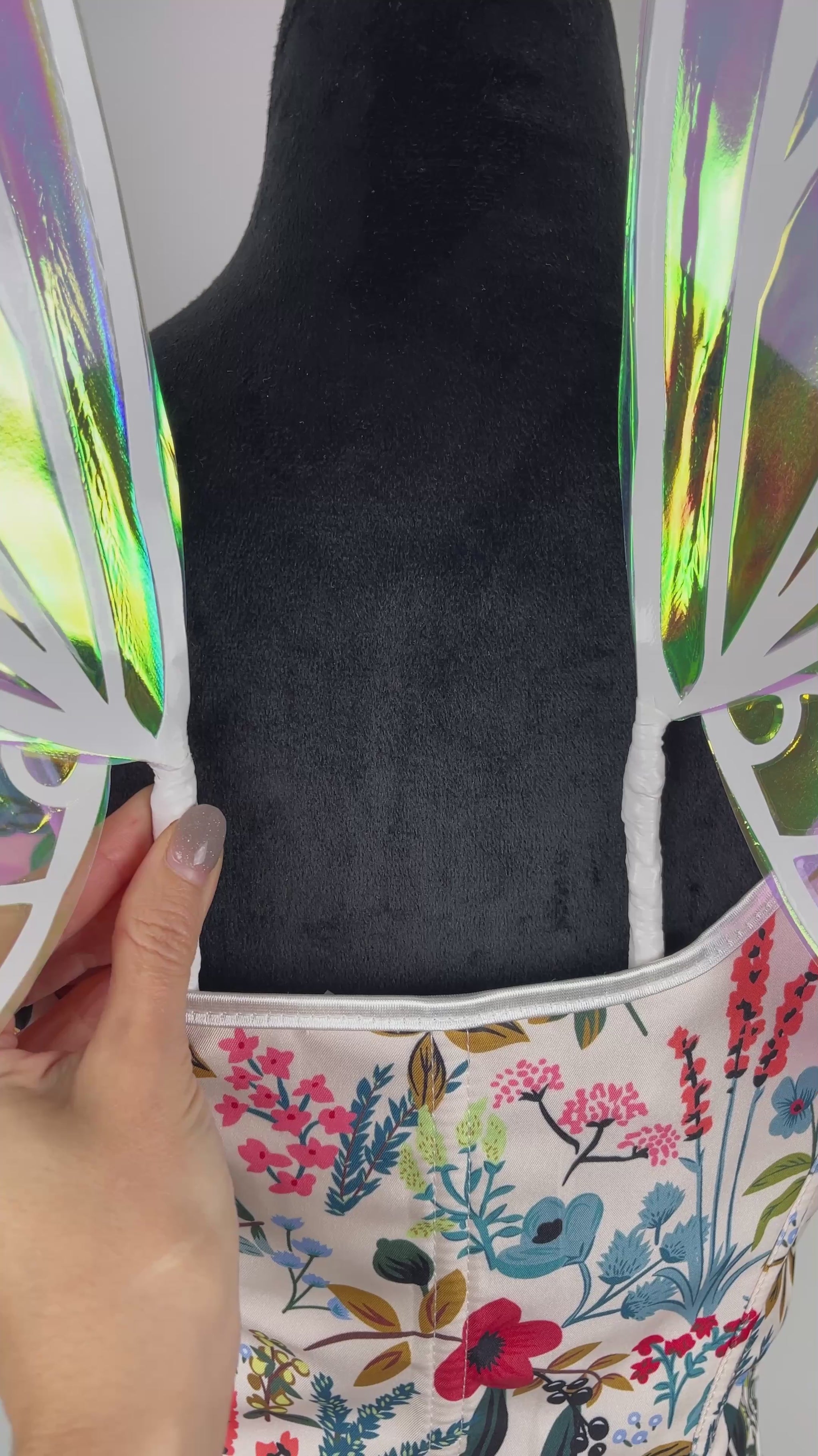 Close up of iridescent fairy wings detail on video