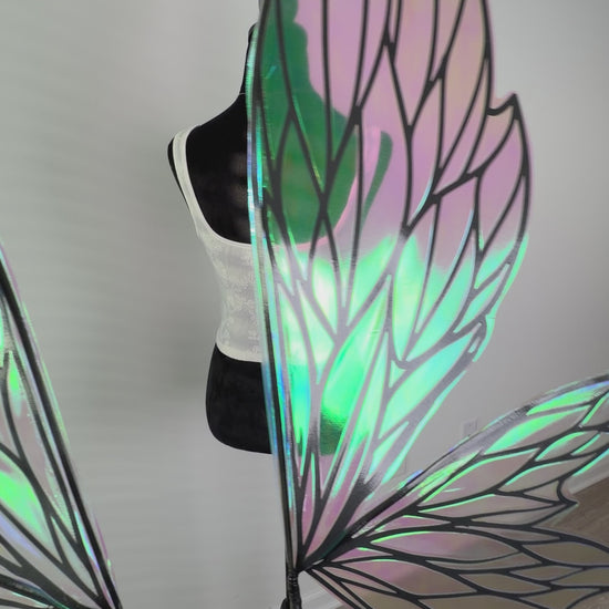 Close up of black fairy wings with leaf inspired design on video