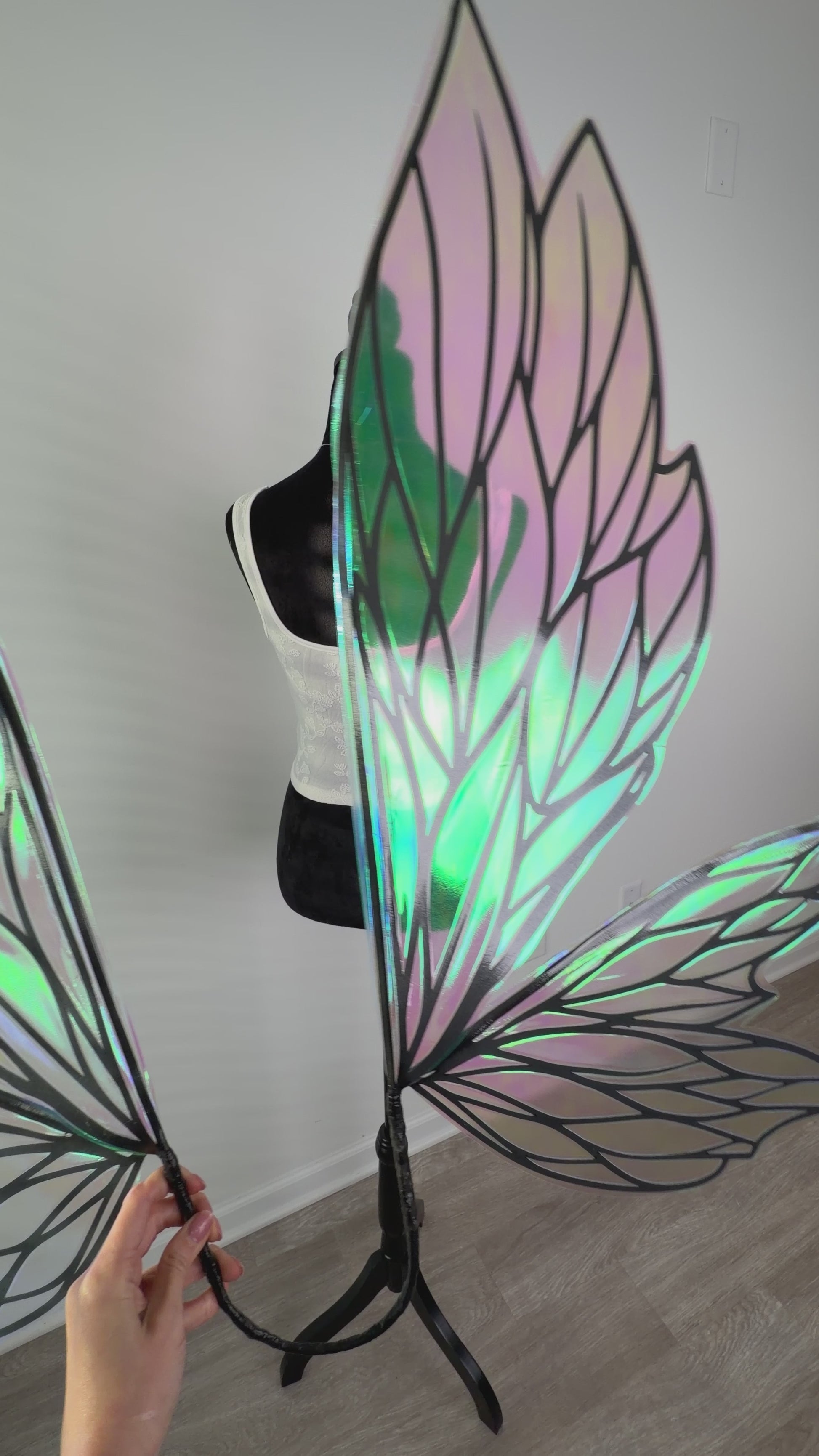 Close up of black fairy wings with leaf inspired design on video