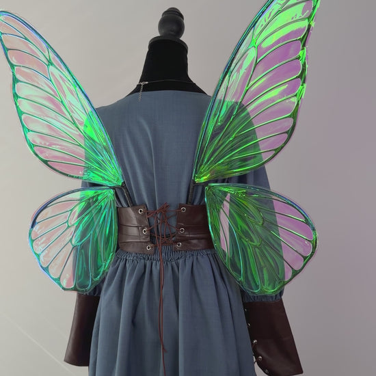 Back view of butterfly fairy wings with black veining and iridescent film.