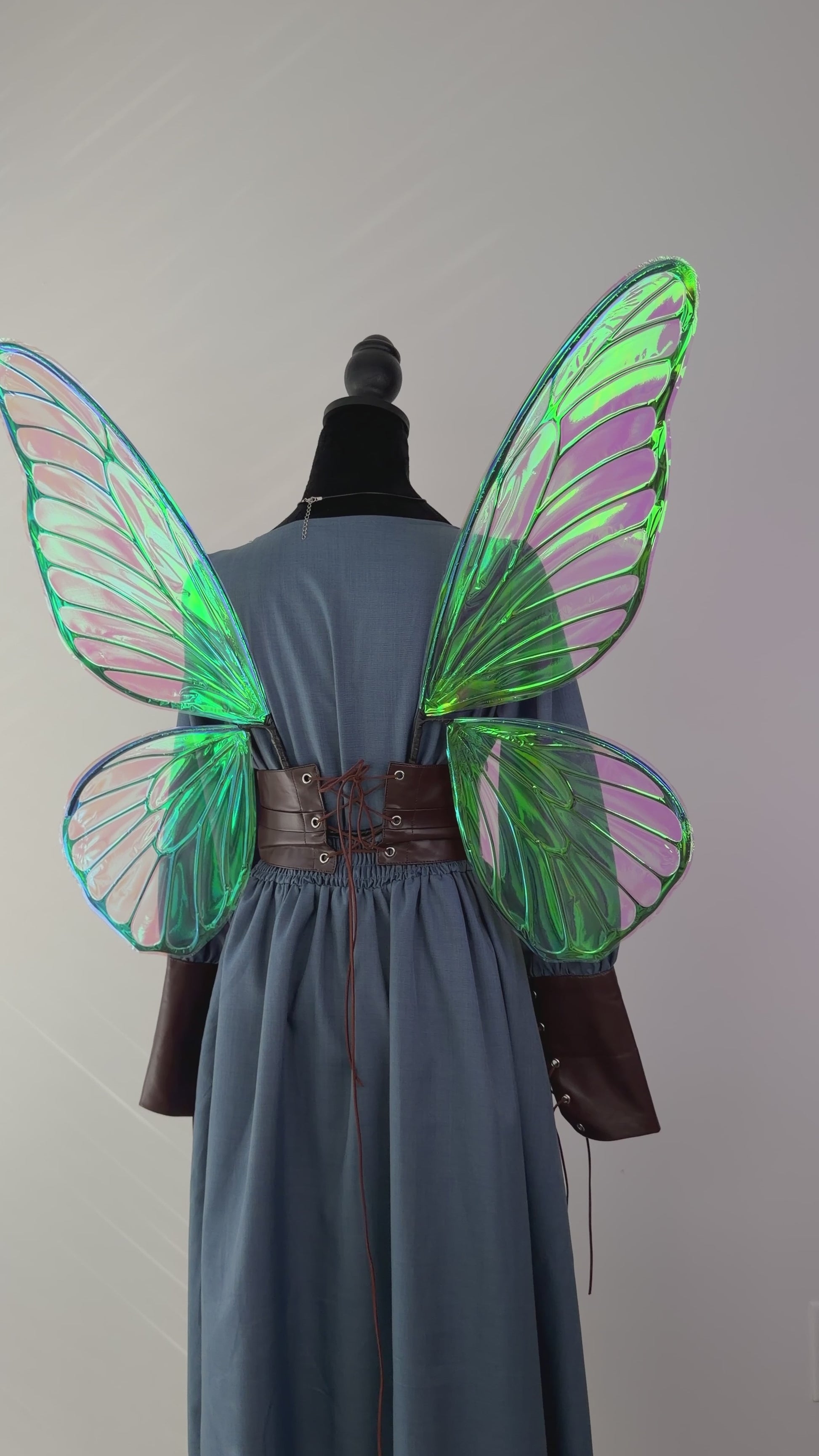 Back view of butterfly fairy wings with black veining and iridescent film.