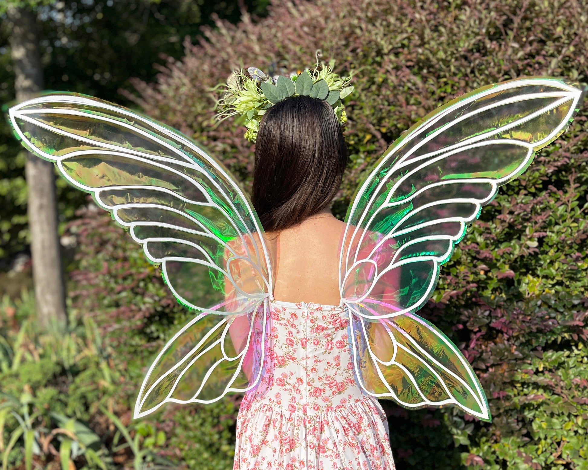 renaissance-faire-iridescent-fairy-wings-adult